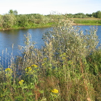 Сыктывкар 2015 - на Красную гору