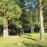 Сыктывкар 2015 - на Красную гору