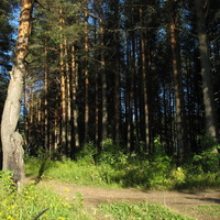 Сыктывкар 2015 - на Красную гору