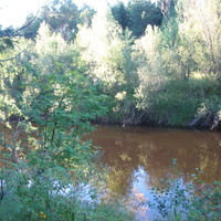 Сыктывкар 2015 - на Красную гору