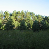 Сыктывкар 2015 - на Красную гору