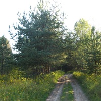 Сыктывкар 2015 - на Красную гору