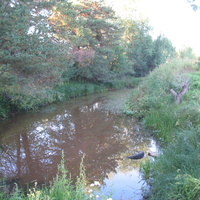 Сыктывкар 2015 - Красная гора