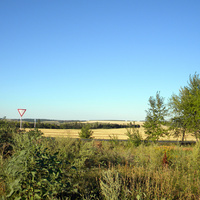 Природа села Рябиновка