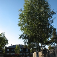 Сыктывкар 2015 - Красная гора