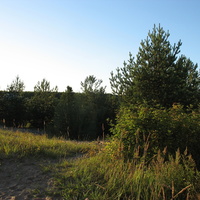 Сыктывкар 2015 - Красная гора