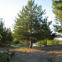 Сыктывкар 2015 - Красная гора