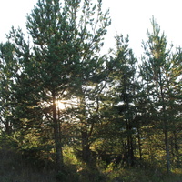 Сыктывкар 2015 - Красная гора