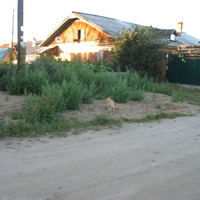 Сыктывкар 2015 - Красная гора