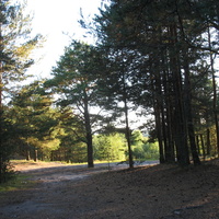 Сыктывкар 2015 - Красная гора