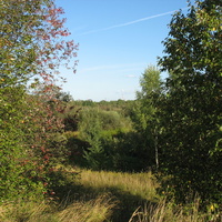 Сыктывкар 2015