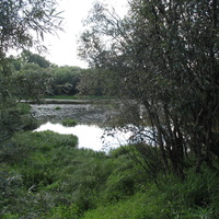 Сыктывкар 2015