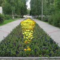 Сыктывкар 2015