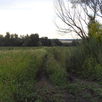 Дорога в деревню