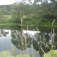 Неручь. Глубокое место