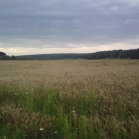 Раньше здесь было пастбище