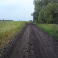 Затишьенские дороги