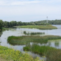 Нарва, река Нарова