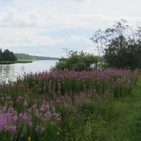 Нарва, река Нарова