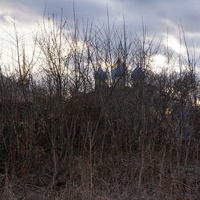 Улица Рабочих