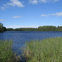 Озеро Струнино В деревне Прощиха