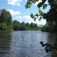 Река Лемёнка, июль 2015