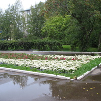 Сыктывкар 2015