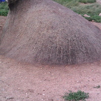 Камень Бухэ-Шулун (Бык-камень). Святыня Баргузинской долины. Расположен у дороги между сёлами Суво и Бодон.