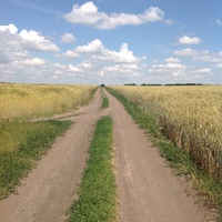 Дорога на Тирлівку