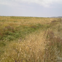 Шаган (Каспанский с.о.)