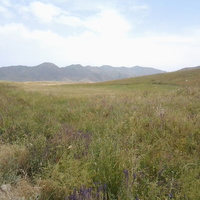 Шаган (Каспанский с.о.)