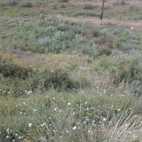 Шаган (Каспанский с.о.)