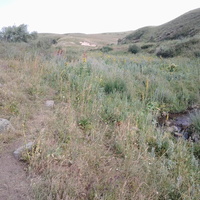 Шаган (Каспанский с.о.)