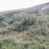 Шаган (Каспанский с.о.)