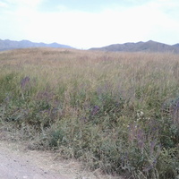 с. Шаган. Природа.89