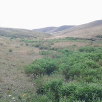 Шаган (Каспанский с.о.)