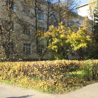 Сыктывкар 2015