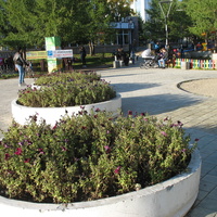 Сыктывкар 2015