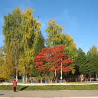 Сыктывкар 2015