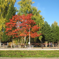 Сыктывкар 2015