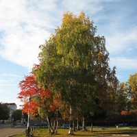 Сыктывкар 2015