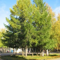 Сыктывкар 2015