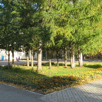 Сыктывкар 2015