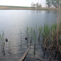 Еленовский пруд (Гвоздовка)