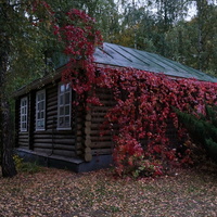 Хозяйственные постройки сельхоза Горки ВЦИК