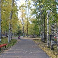 Сыктывкар 2015