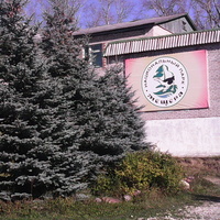 Музей птиц в посёлке Уршельский
