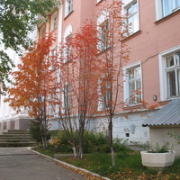 Сыктывкар 2015