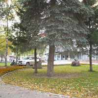 Сыктывкар 2015