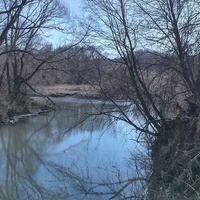 река Птань